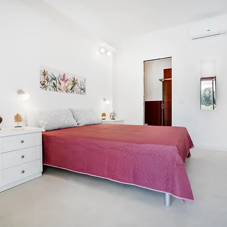 Guest house Ambra - &